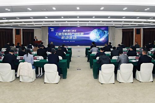 重庆两江新区工业互联网产业联盟成立